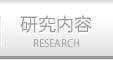 研究内容