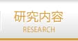 研究内容
